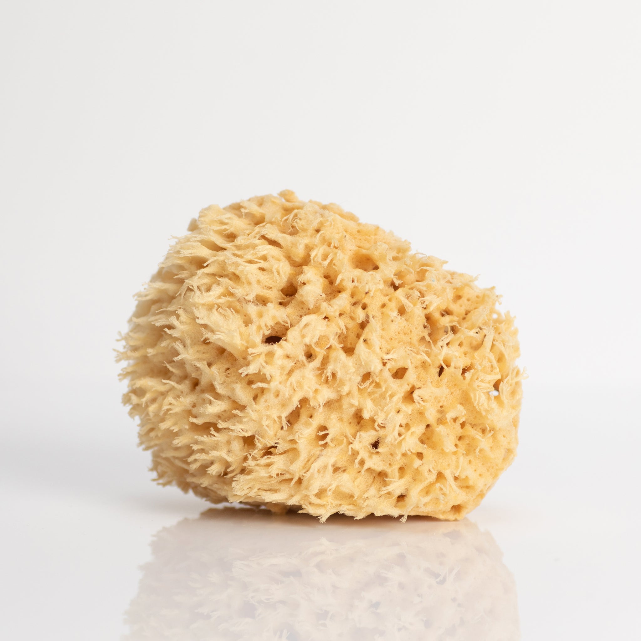 Lather Natural Sea Wool Sponge